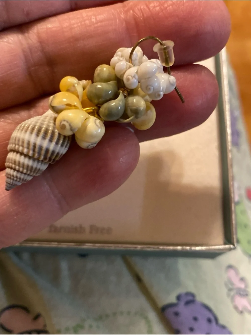 N/A delicate shell